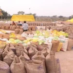 कलेक्टर