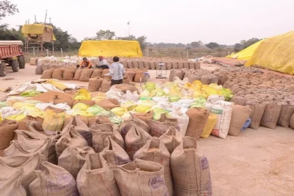 कलेक्टर