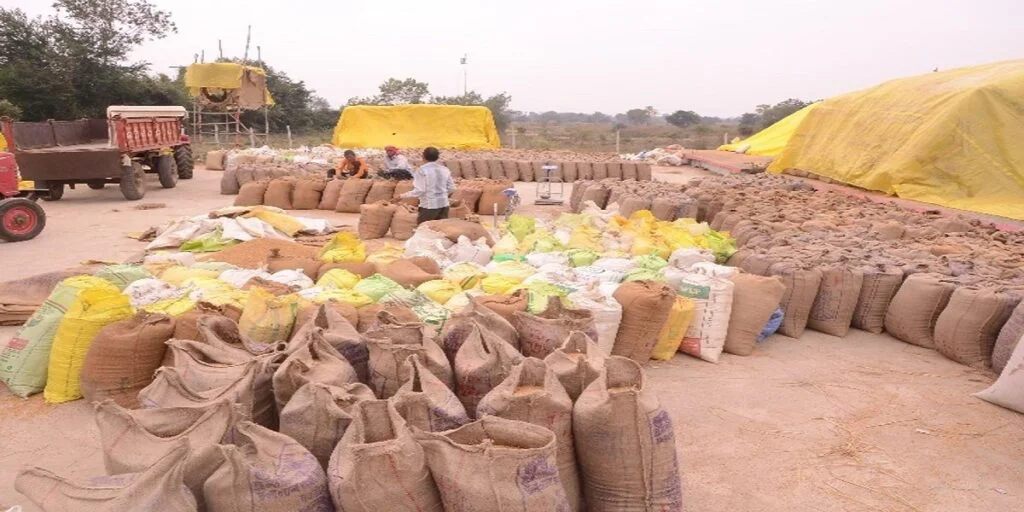 कलेक्टर