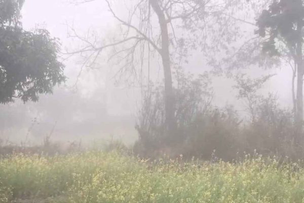 छत्तीसगढ़